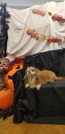 Pet Supply Store «Centinela Feed», reviews and photos, 16571 Ventura Blvd, Encino, CA 91436, USA