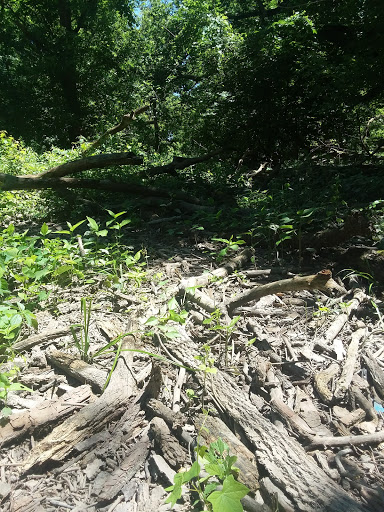 Nature Preserve «Thaddeus S. 