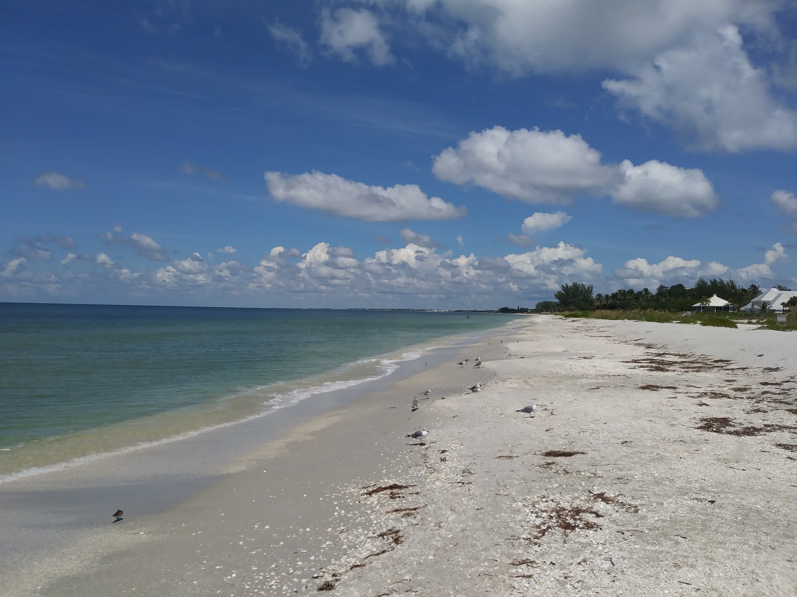 Foto van Gasparilla Island beach - goede huisdiervriendelijke plek voor vakantie