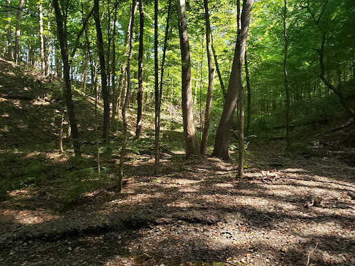 Golf Course «Delaware Golf Club», reviews and photos, 3329 Columbus Pike, Delaware, OH 43015, USA