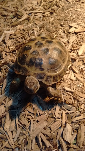 Pet Store «Pet Kingdom», reviews and photos, 4650 S Cleveland Ave, Fort Myers, FL 33907, USA