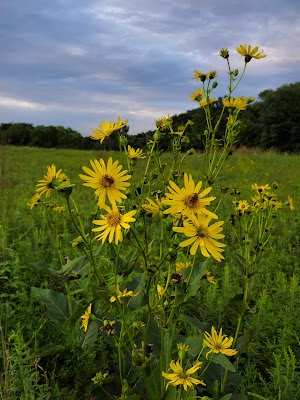 Hickory Creek Preserve - photo 4