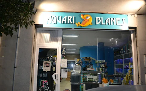 Aquari Blanes image