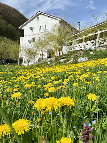 Pensiunea Muntii Aninei - Hostal