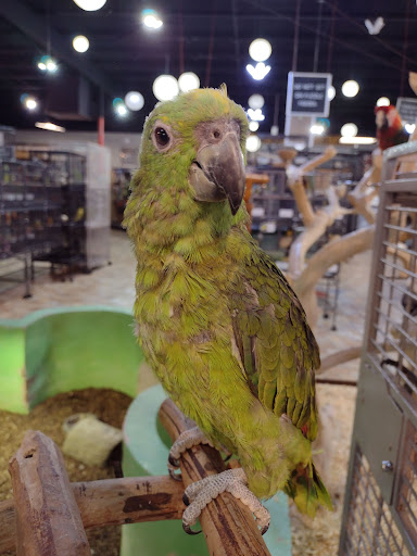 Pet Store «Exotic Tropical Petworld LLC.», reviews and photos, 1716 W Hackberry Ave, McAllen, TX 78501, USA