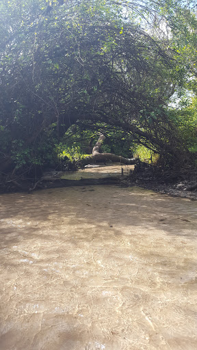 Nature Preserve «Rye Preserve», reviews and photos, 905 Rye Wilderness Trail, Parrish, FL 34219, USA