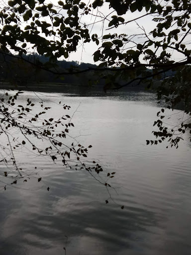 Hiking Area «Gold Branch Trail», reviews and photos, 6156 Lower Roswell Rd, Marietta, GA 30068, USA