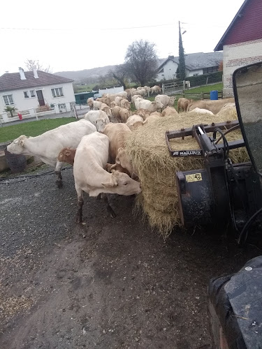 Ferme GAEC Reconnu du Beauregard Petiville