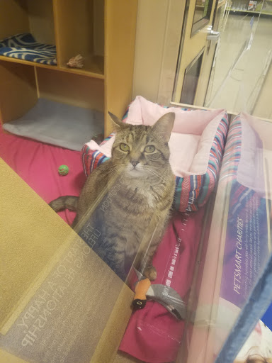 Pet Supply Store «PetSmart», reviews and photos, 1671 E Market St, Harrisonburg, VA 22801, USA