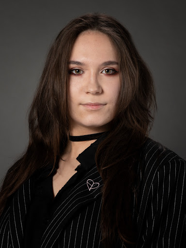 Law Firm «Springs Law Group LLC», reviews and photos