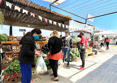 Mercado Popular zona Sur