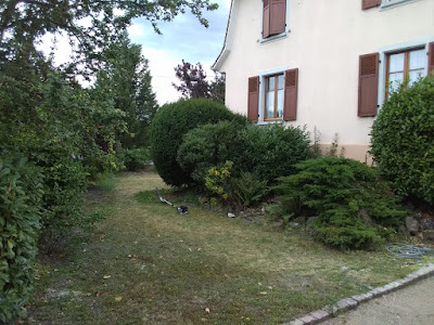 Lafertin Pierre à Colmar