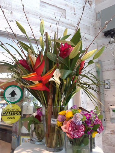 Grocery Store «Whole Foods Market», reviews and photos, 2411 N Federal Hwy, Pompano Beach, FL 33062, USA