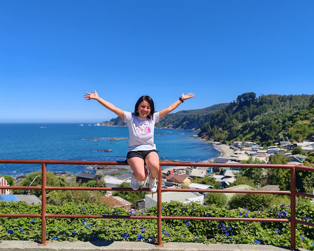Playa Cocholgüe - Camping