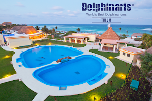 Dolphinaris Tulum at Bahia Principe Hotel image