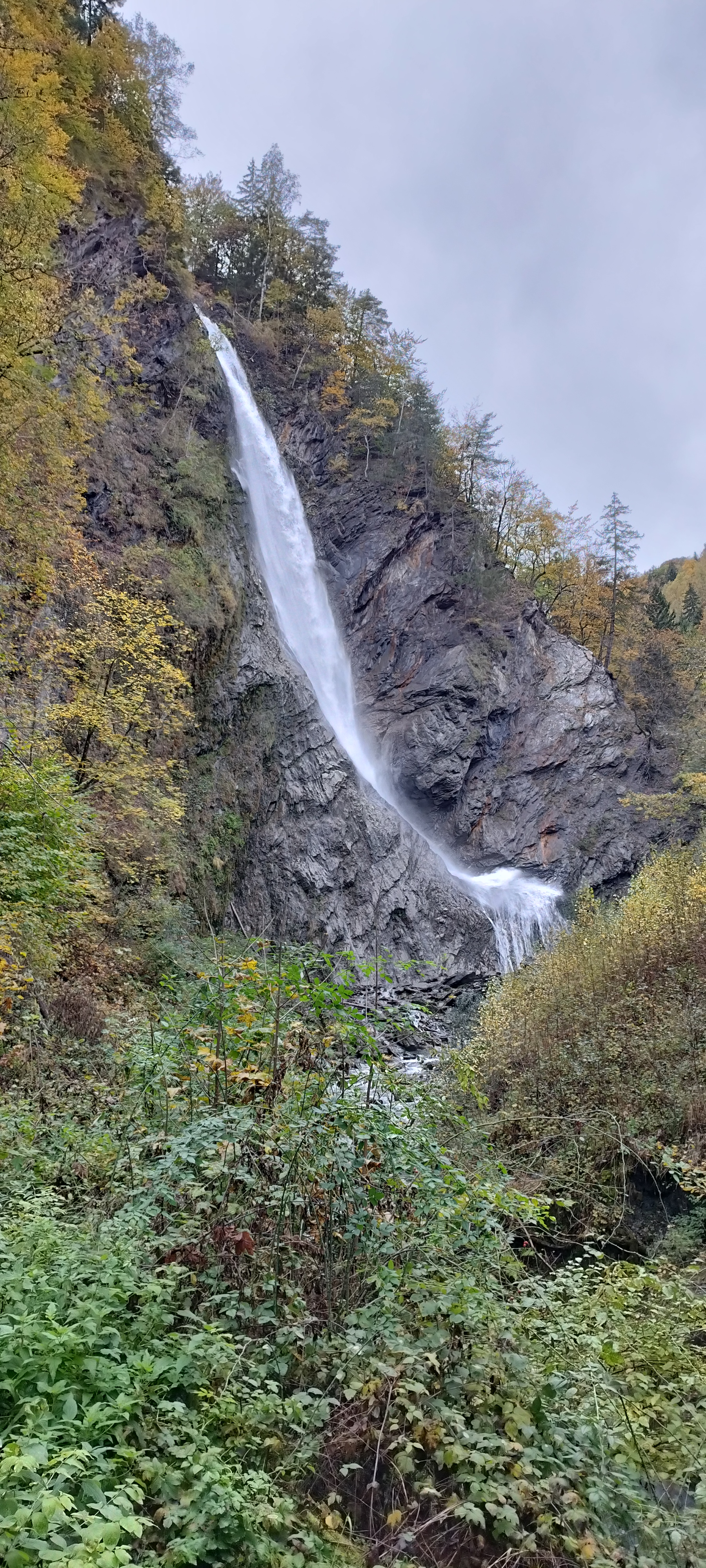 Photo n° 1 de l'avis de Franck.i fait le 01/11/2023 à 21:16