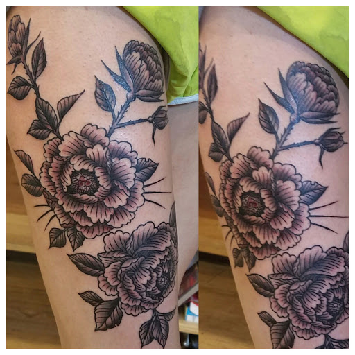 Explore snook tattoo ideas, creative tattoo ideas in Warrenville, available at NoodlesTattoo Co. & Studio