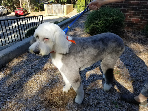 Pet Groomer «U Dirty Dog», reviews and photos, 232 Stevens Entry, Peachtree City, GA 30269, USA