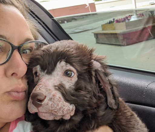 Cascade Veterinary Clinic image