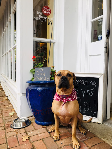 Gift Shop «Ten Thousand Villages», reviews and photos, 915 King St, Alexandria, VA 22314, USA