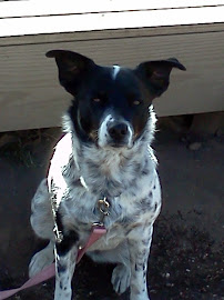 Over the Moon Training Services, LLC - Photo 6 - Car repair in , Oklahoma City