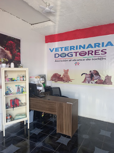 Clínica Veterinaria DogTores - Veterinario