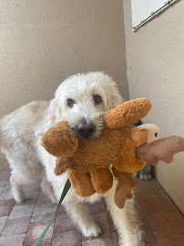 Sit, Stay & Wait - Photo 7 - Car repair in , Coral Springs