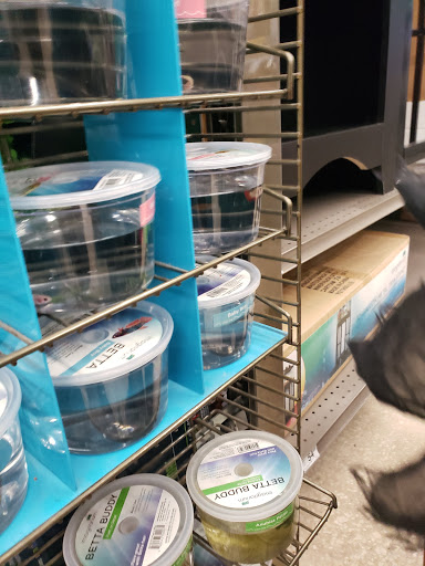 Shopping Mall «Tarpon Mall», reviews and photos, 40952 US-19, Tarpon Springs, FL 34689, USA