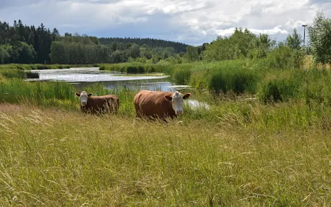 Steningedalens naturreservat image