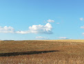 Agriturismo Vigna Vecchia Pomonte
