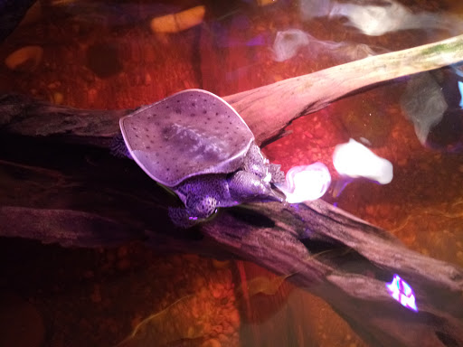 Nature Preserve «Hickory Knolls Discovery Center», reviews and photos, 3795 Campton Hills Drive, St Charles, IL 60175, USA