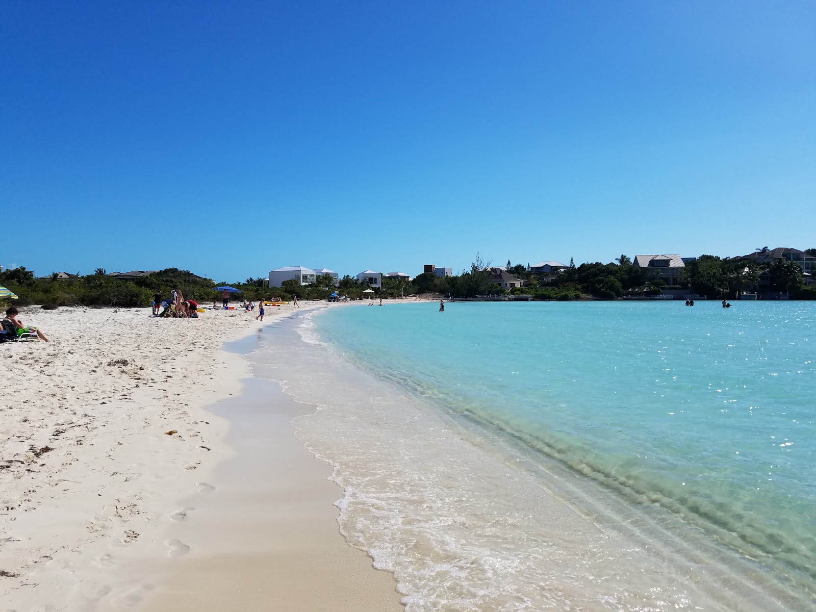 Foto de Taylor Bay beach com água cristalina superfície