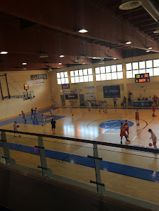 FEBA Civitanova Marche Basket 62012, Civitanova Marche MC, Italia