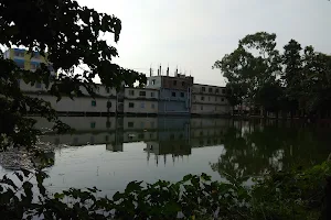 Ghatail Upazila Pond image