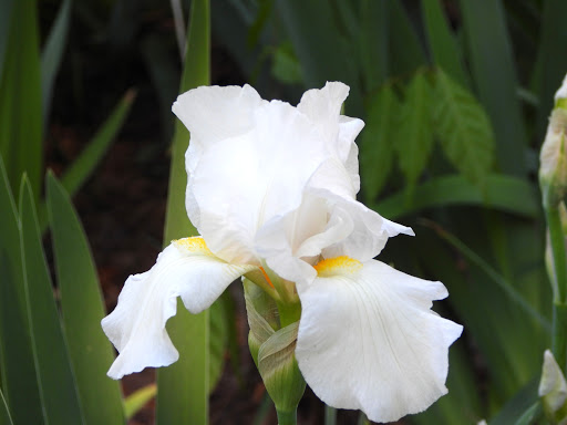 Nature Preserve «Autrey Mill Nature Preserve & Heritage Center», reviews and photos, 9770 Autrey Mill Rd, Johns Creek, GA 30022, USA