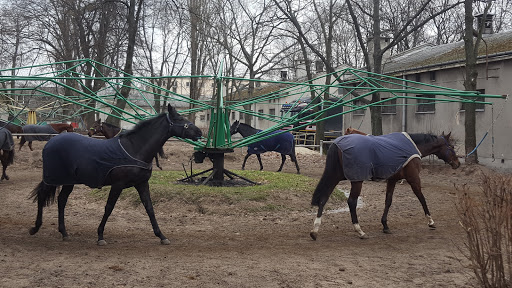 Stables Wyscigi Konne