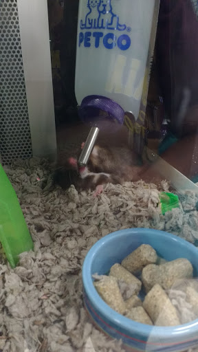 Pet Supply Store «Petco Animal Supplies», reviews and photos, 7625 Jolly Ln, Brooklyn Park, MN 55428, USA