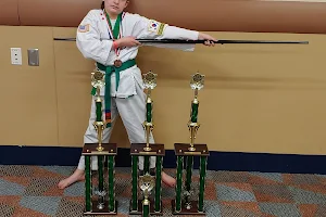 Min's Karate Academy image