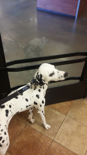 Pet Supply Store «PetSmart», reviews and photos, 1591 Bradley Park Dr, Columbus, GA 31904, USA