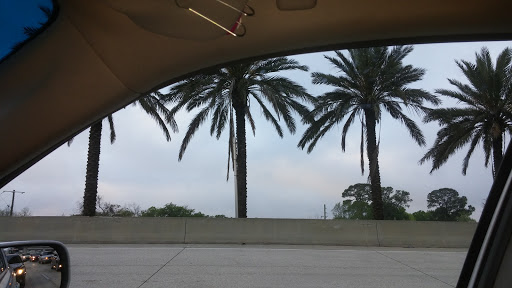 Park «Riverside Park», reviews and photos, 753 Park St, Jacksonville, FL 32204, USA