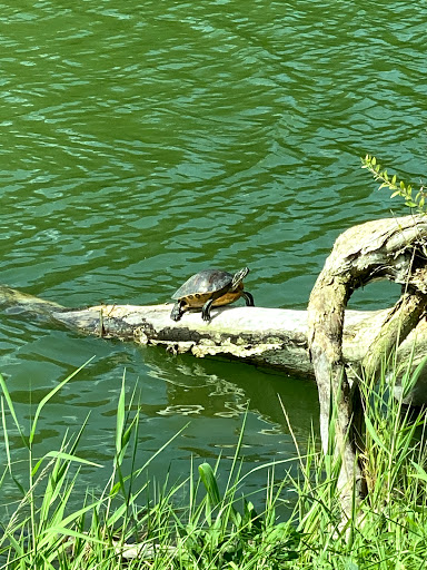 Fishing Store «Stones Outhouse Bait & Tackle, LLC», reviews and photos, 2049 E Edgewood Dr, Lakeland, FL 33803, USA