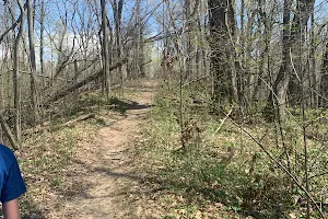 Crooked Lake Nature Preserve image