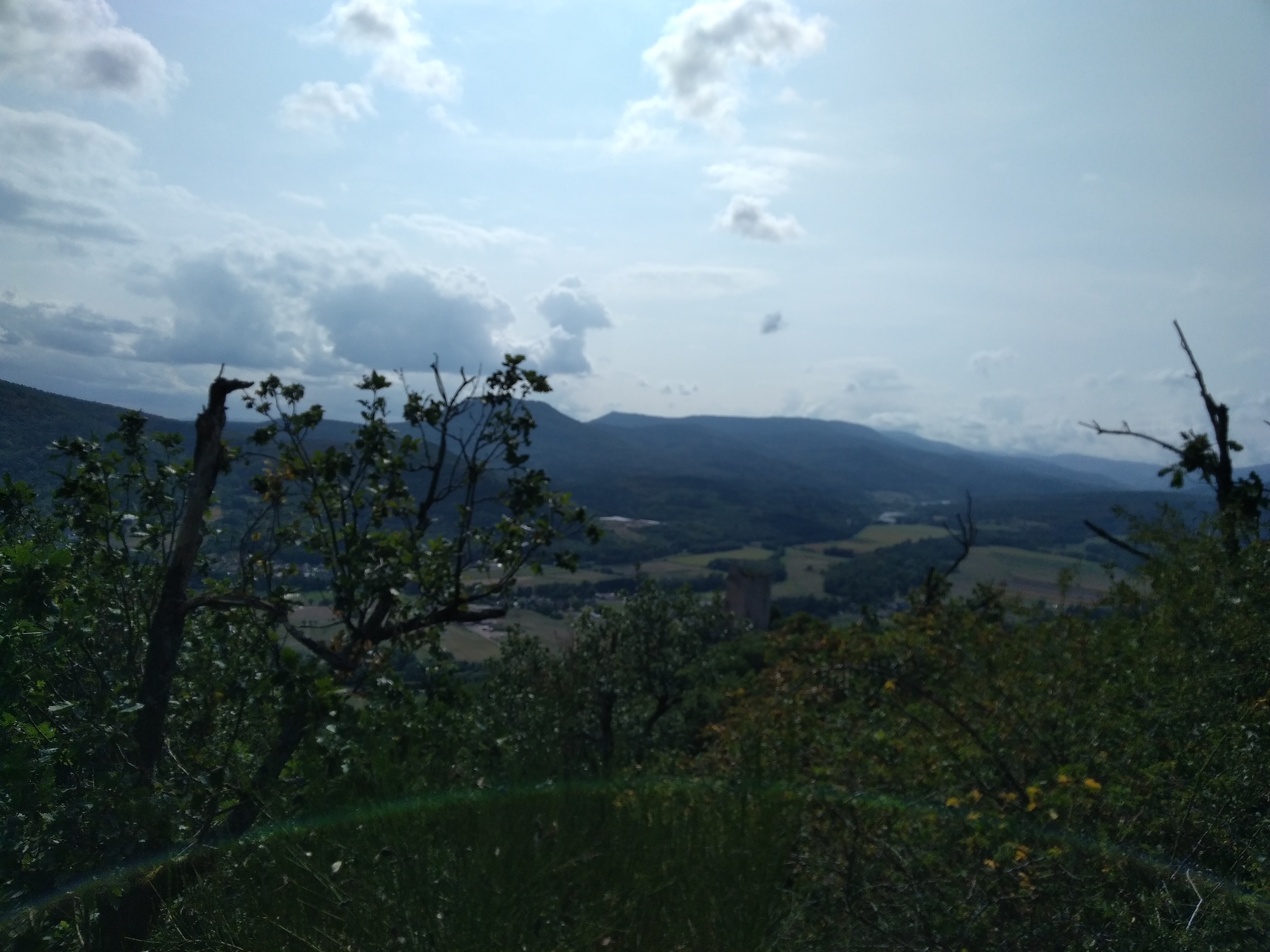 Photo n° 8 de l'avis de Michael.u fait le 30/08/2018 à 15:57