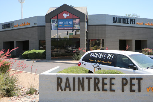 Raintree Pet Resort + Medical Center - Vet / Dog Daycare / Boarding in Scottsdale