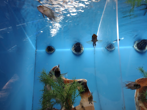 Pet Supply Store «PetSmart», reviews and photos, 15615 E Broadway Ave, Spokane Valley, WA 99037, USA