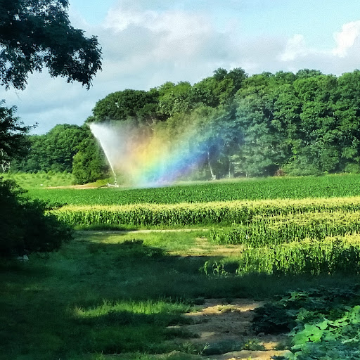 Farm «Lewin Farms», reviews and photos, 812 Sound Ave, Calverton, NY 11933, USA