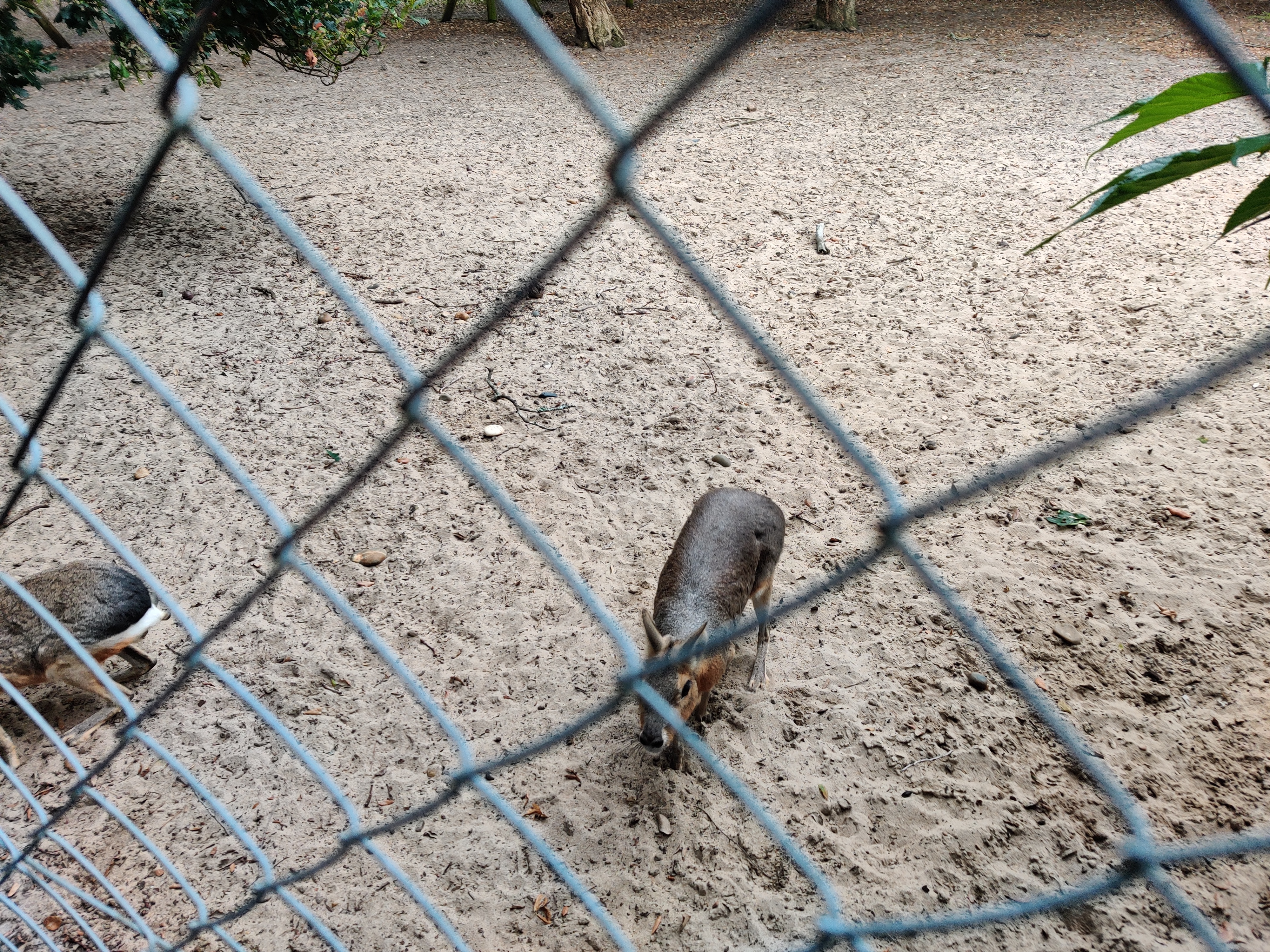 Photo n° 33 de l'avis de Loïc.i fait le 14/06/2019 à 05:58