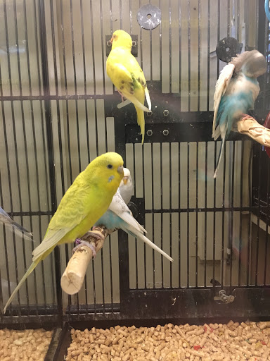 Pet Supply Store «PetSmart», reviews and photos, 7177 SE 29th St, Midwest City, OK 73110, USA