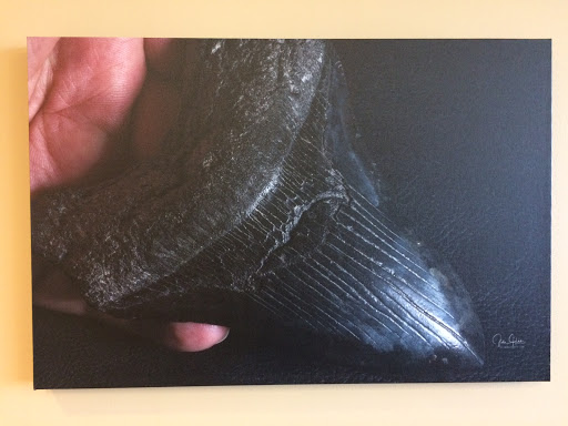 Insurance Agency «Koda Insurance Group», reviews and photos