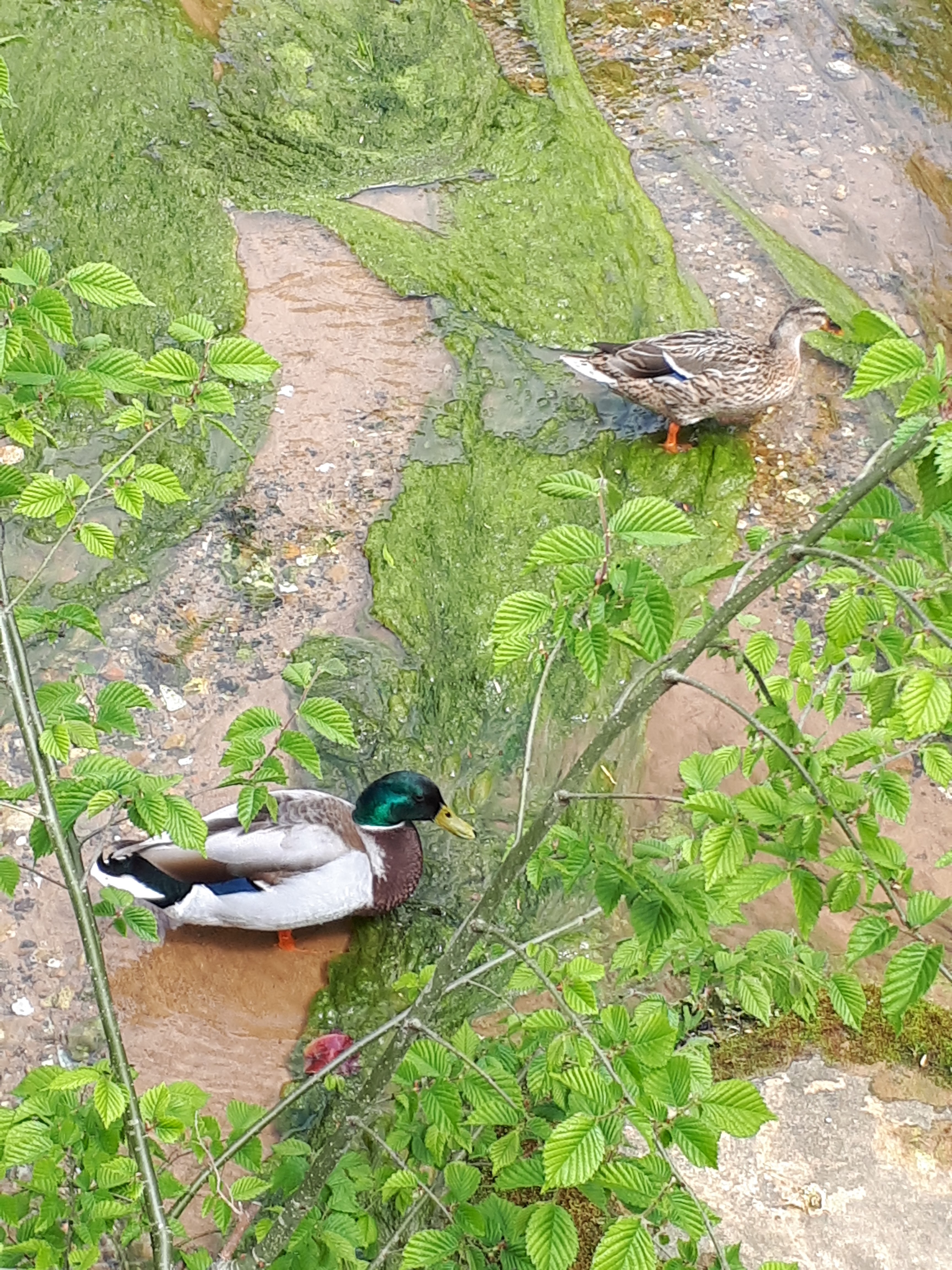 Photo n° 10 de l'avis de Didier.a fait le 11/05/2019 à 13:21